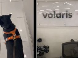 Hasta el momento no hay más información, pero la aerolínea contestó que le gustaría saber más del caso. SUN