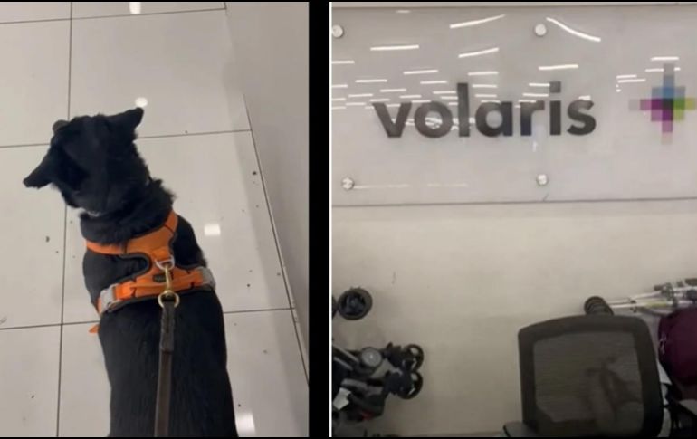 Hasta el momento no hay más información, pero la aerolínea contestó que le gustaría saber más del caso. SUN