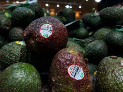 Ocho de cada 10 aguacates vendidos en territorio estadounidense provienen de México. Y a partir de este año, el aguacate producido en Jalisco también participará. AFP / ARCHIVO