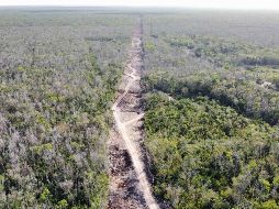 Algunos de los mecanismos de vigilancia serán los centros de control y la señalización. SUN / ARCHIVO