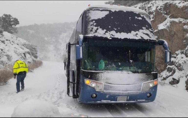 Hay tráileres, autobuses y varios vehículos varados. SUN