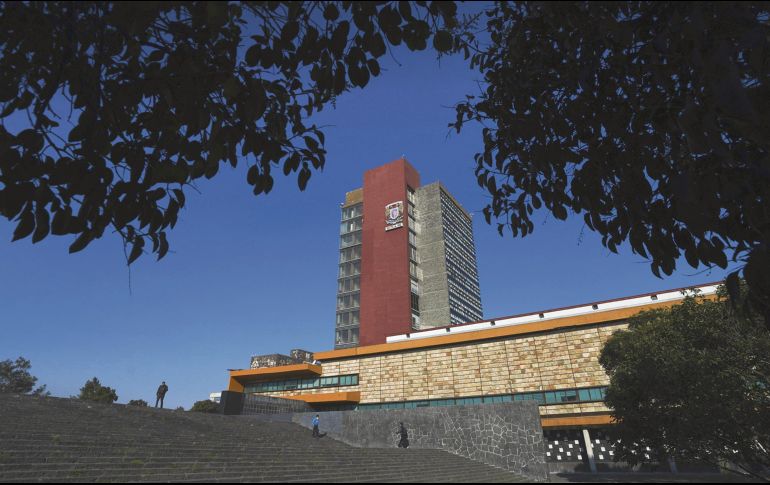 La Máxima Casa de Estudios analiza qué acciones tomar en torno al caso de la ministra. AP