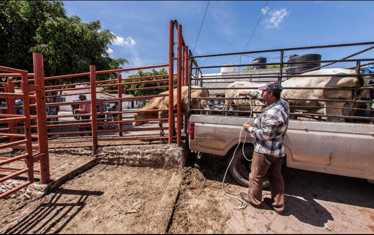 México tuvo en 2021 un crecimiento anual del 4.8 % apoyado por el crecimiento del sector industrial, el de servicios y el agrícola. EL INFORMADOR/ARCHIVO