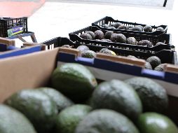 El consumo de aguacate en Estados Unidos se incrementó en ocho veces en los últimos 20 años. EL INFORMADOR / ARCHIVO