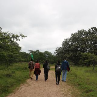 Mueren mil 568 hectáreas áreas verdes en la metrópoli