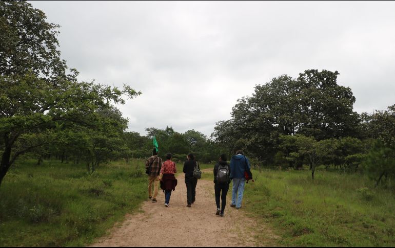 El Bosque de la Primavera es una de las Áreas Naturales Protegidas con la mayor presión urbana. ARCHIVO