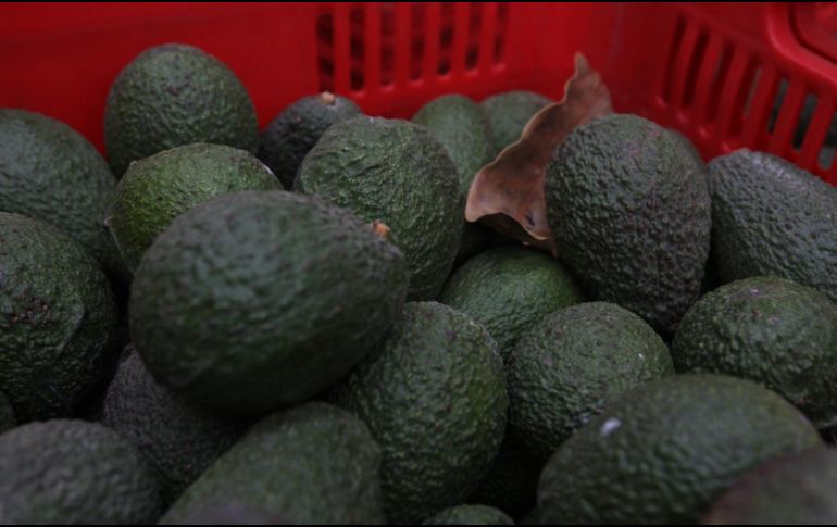 Para la edición del Super Bowl o Súper Tazón 57 de la NFL, la Asociación espera enviar 130 mil toneladas de aguacate a Estados Unidos. EL INFORMADOR / ARCHIVO