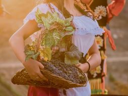 Tierra noble, uvas magníficas. Parras ofrece magníficos sabores para los amantes del vino. ESPECIAL