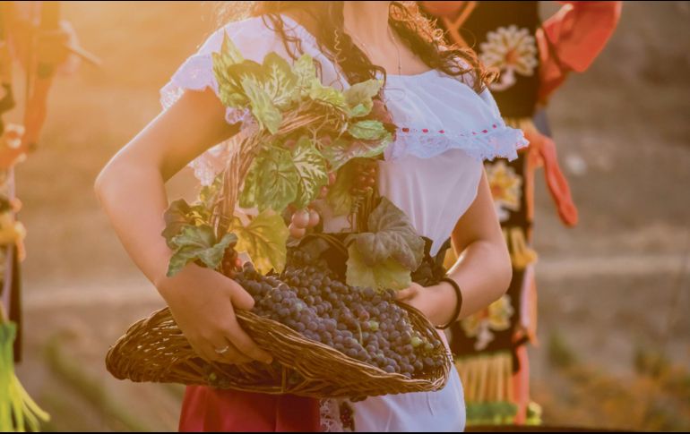 Tierra noble, uvas magníficas. Parras ofrece magníficos sabores para los amantes del vino. ESPECIAL