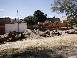 La tala de árboles fue en las laterales de Periférico entre Mariano Otero y López Mateos. EL INFORMADOR/ CARLOS ZEPEDA