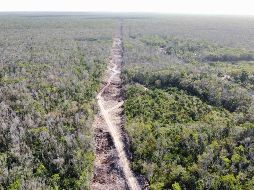 Según estimaciones del director de la CFE, Manuel Bartlett, la obra será una verdadera transformación del sur del país. SUN / ARCHIVO