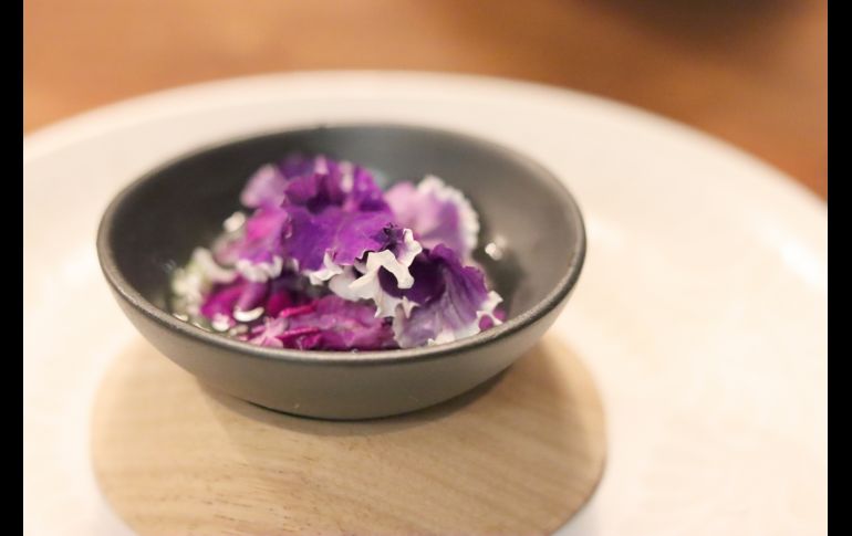 Platillos. GENTE BIEN JALISCO/Christian Pérez