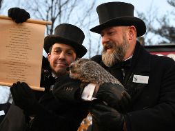 A pesar de los deseos del público, que claramente pedía una pronta primavera, la sombra de Phil fue contundente: habrá más invierno. AP/B. Reeger