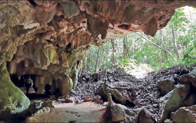 López Obrador recordó que en sexenios pasado se vendieron cerca de mil hectáreas de manglar cerca del Aeropuerto Internacional de Cancún a solo siete pesos el metro cuadrado. SUN / ARCHIVO