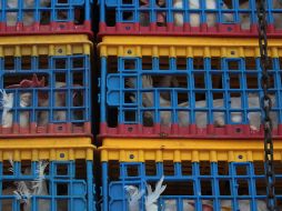 La ASICA invitó a productoras y productores de Jalisco a agendar sus citas para solicitar vacunas vía telefónica o por correo electrónico. EL INFORMADOR/ARCHIVO