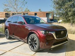 Este modelo tiene un perfil de corte largo, con un voladizo pequeño adelante. ESPECIAL