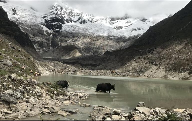 Un lago glaciar al pie de la montaña Jomolhari en Bután. J. RACHEL CARR