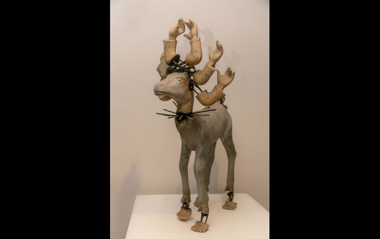 Aspecto. GENTE BIEN JALISCO/Jorge Soltero