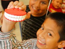 El esmalte de los dientes es la sustancia más fuerte del cuerpo humano. AP / ARCHIVO