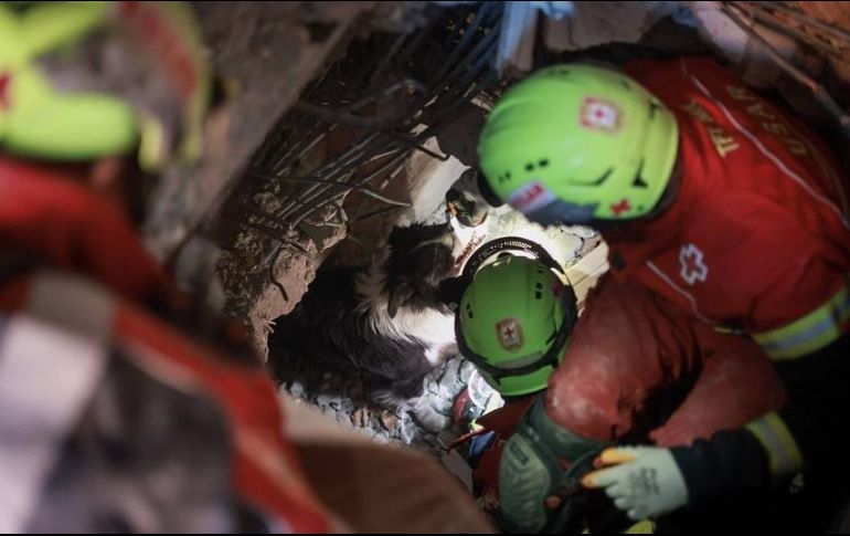 La acción de Orly fue aplaudida por usuarios de redes. FACEBOOK/Edgar Martínez