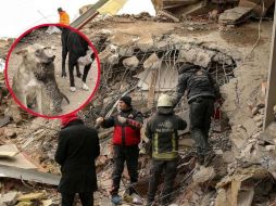 La foto fue calificada como la más hermosa del día. ESPECIAL