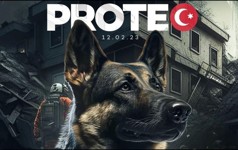 En el mensaje en la imagen se puede leer 