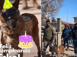 Consideran que a pesar de la catástrofe en la que se encuentra Turquía, es importante celebrar los 7 años de Ecko. ESPECIAL