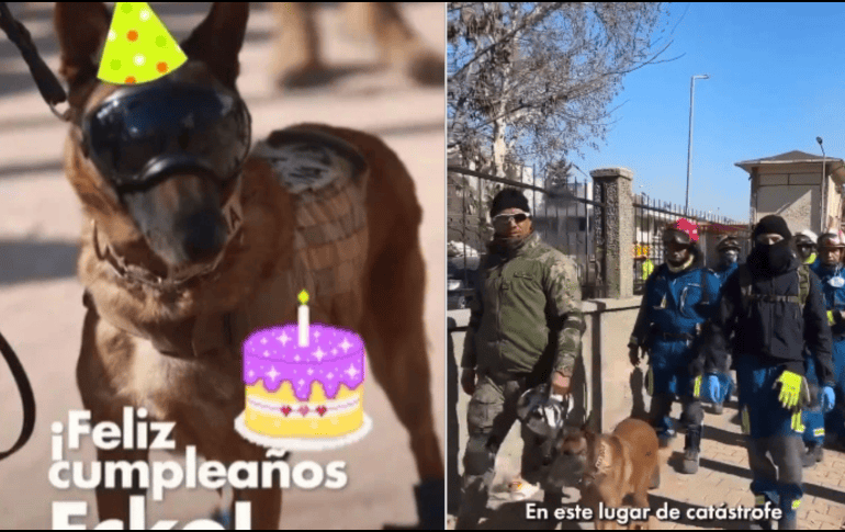 Consideran que a pesar de la catástrofe en la que se encuentra Turquía, es importante celebrar los 7 años de Ecko. ESPECIAL