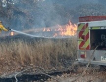 El incendio en el Bosque de La Primavera se dio en Palo Gordo. ESPECIAL