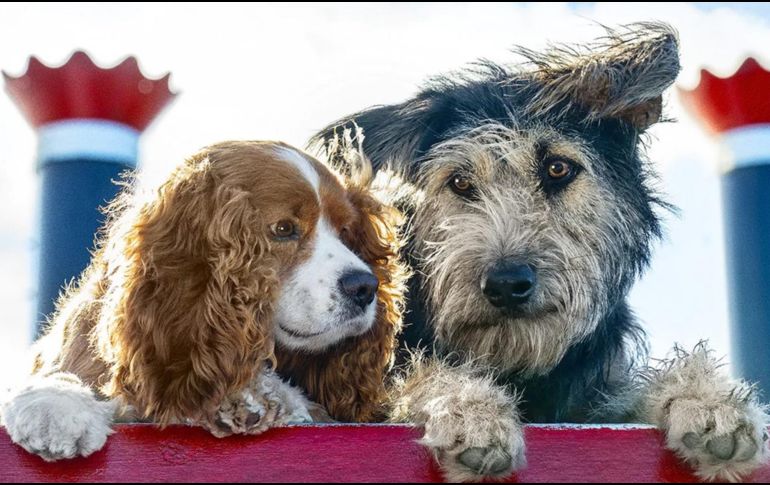 Disfruta del Día de San Valentín con el contenido de Disney+. ESPECIAL/THE WALT DISNEY COMPANY MÉXICO.