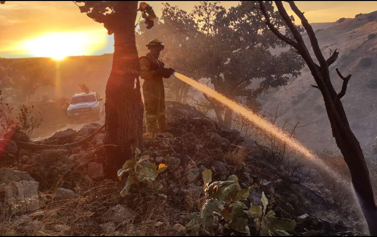 El incendio en La Primavera se registra este lunes desde las 15:00 horas. ESPECIAL