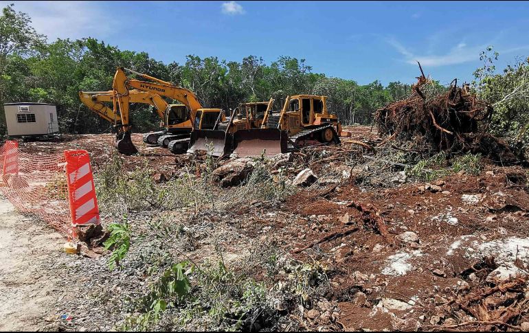 Remarcan que en toda la ruta del Tren Maya se está llevando a cabo una reforestación histórica para evitar la afectación de áreas naturales. SUN/ARCHIVO