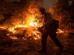 Tan solo al corte del 13 de febrero del presente año, se han registrado 79 incendios forestales en Jalisco. EFE / ARCHIVO