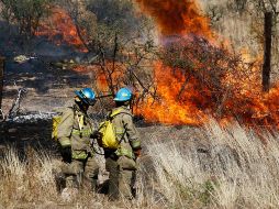 La situación geográfica del Estado lo vuelve más vulnerable a los incendios forestales. SUN/Archivo