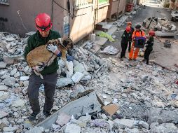 Los equipos de búsqueda, compuestos por casi 20 mil expertos, han rastreado 20 mil 870 edificios derrumbados. EFE/E. Sahin