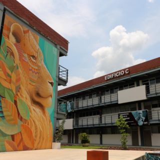 Por manifestación de transportistas, CUTonalá y CUCS suspenderán clases