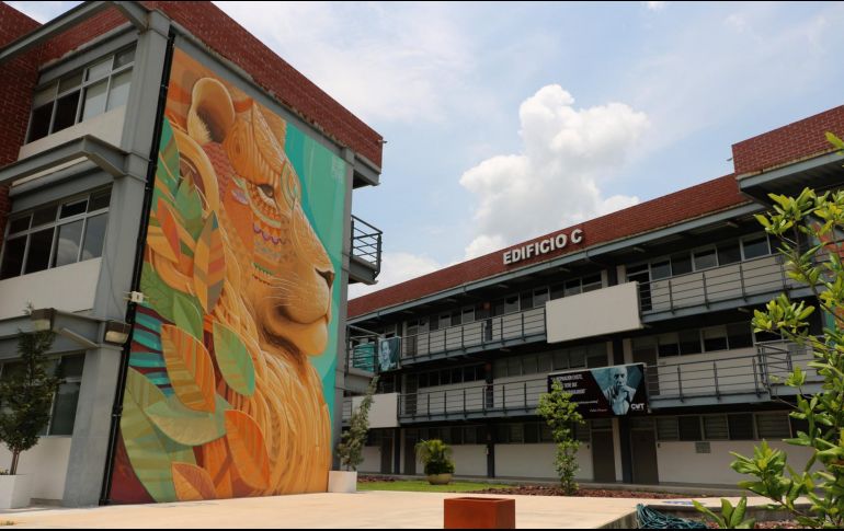 Descartan bloqueos en las vialidades de la ZMG, aunque sí se prevé un tráfico pesado. EL INFORMADOR/ARCHIVO