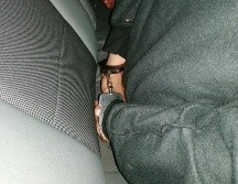 Tras su detención, el sujeto quedó a disposición del juez de Control y oralidad que lo requería en Tequila. EL INFORMADOR/ARCHIVO