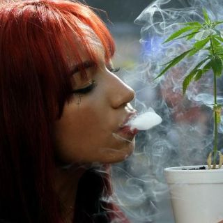 ¿Por qué no ha resultado tan rentable cultivar mariguana en América Latina?