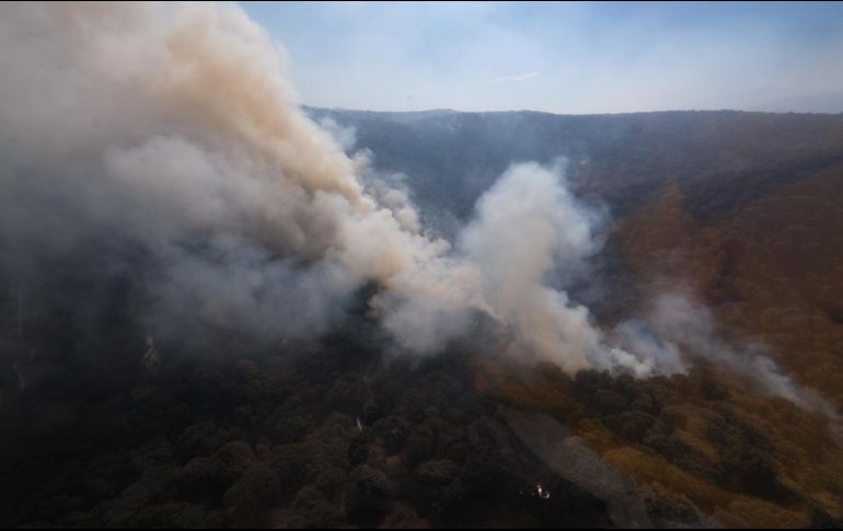El incendio en La Primavera se registara desde ayer en la tarde. ESPECIAL