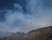 El incendio en La Primavera que comenzó ayer por la tarde ya fue controlado. ESPECIAL
