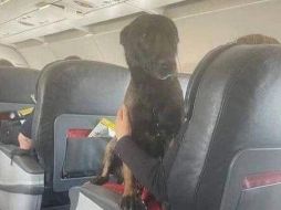 La foto enterneció a los cibernautas, quienes ya hicieron viral la imagen. ESPECIAL