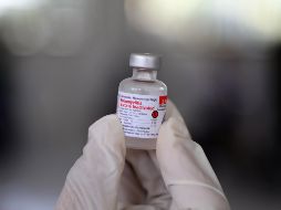 Aún falta un largo camino de investigación para hacer una vacuna combinada que funcione en humanos. EFE/H. Simenjuntak