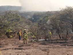 Brigadistas aún se encuentran liquidando el incendio en el Bosque de La Primavera. ESPECIAL