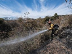 El incendio forestal en el Bosque de La Primavera comenzó el miércoles a las 16:00 horas. ESPECIAL