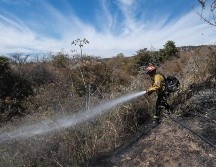 El incendio forestal en el Bosque de La Primavera comenzó el miércoles a las 16:00 horas. ESPECIAL