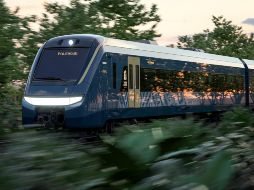 Óscar David Lozano Águila, director general de la empresa Tren Maya S.A. de C.V., dijo en la mañanera de hoy que el 8 de julio se recibirá el primer tren con el que se iniciarán las pruebas. ESPECIAL / Gobierno de México