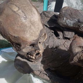 Hallan una momia prehispánica en mochila de repartidor de 'delivery' en Perú