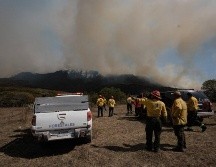 El último incendio en La Primavera fue combatido por más de 49 horas y quemó 500 hectáreas del bosque. ESPECIAL