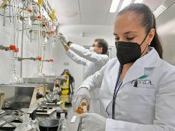 Desde hace años, el Consejo Regulador del Tequila (CRT) apoya proyectos de investigación y suma acciones para su estrategia de sustentabilidad. EL INFORMADOR/ A. Camacho